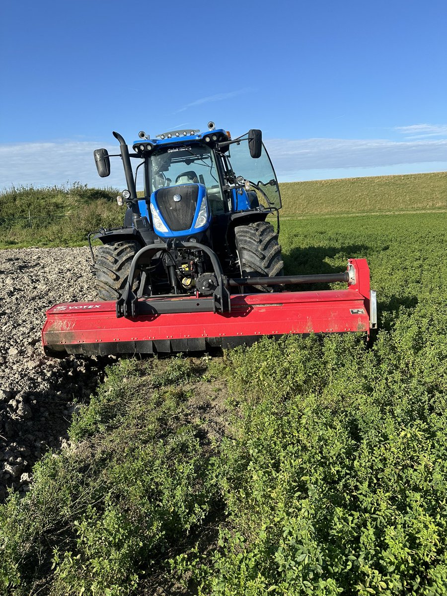 Tommie Geluk tweet media