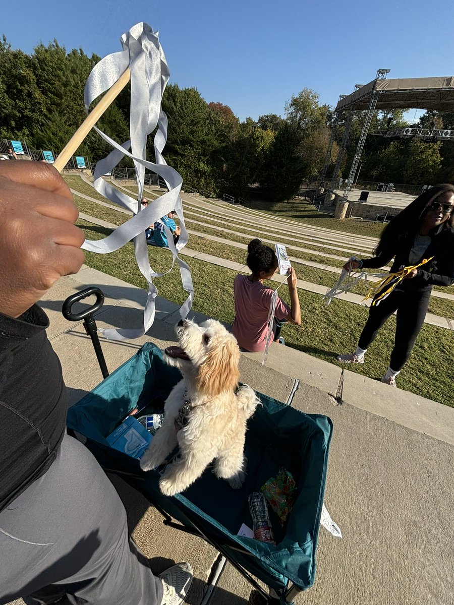 uknowurinluvwme's tweet image. 2 miles ✅ #Move4PD 🩵