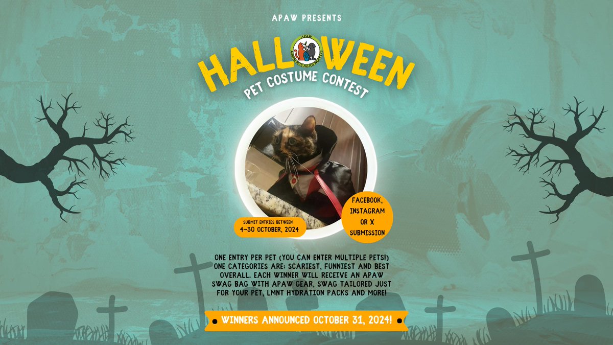 Austin Pets Allied Workers (APAW) tweet media