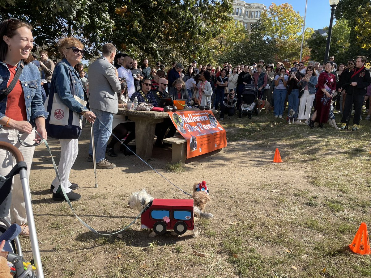 One of the first entrants in today's dog Halloween costume competition is dressed as "a Maryland driver"