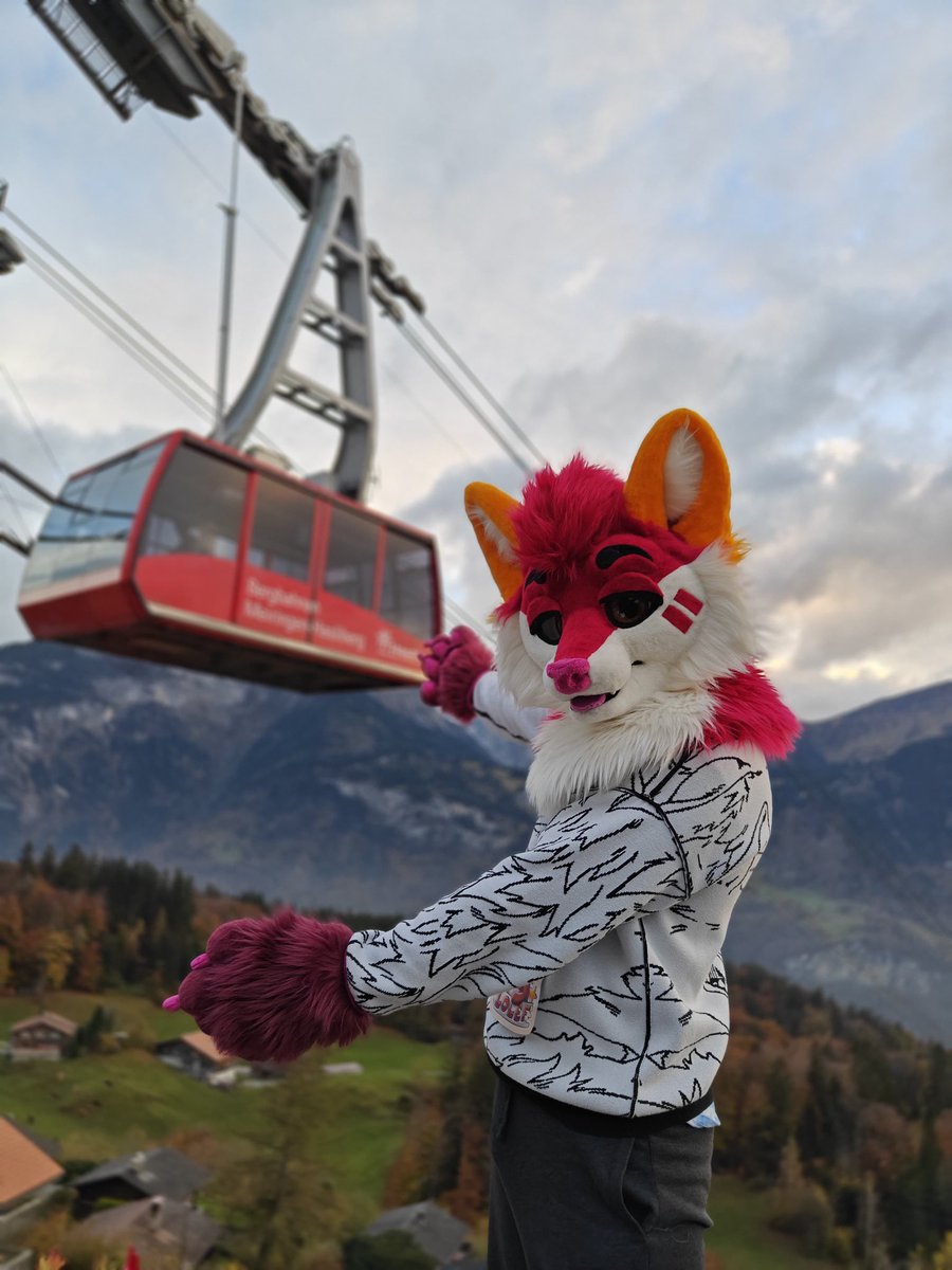 Lolef 🇨🇭🔜 Awoostria and EF tweet media