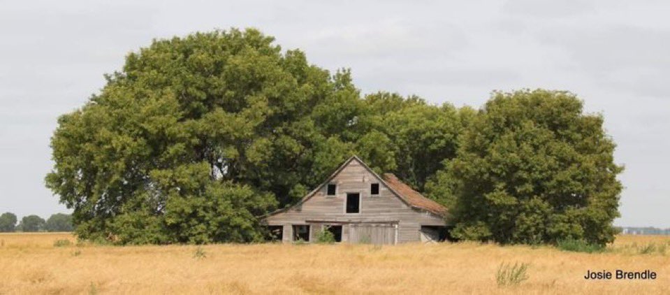 AdmiredArt tweet media