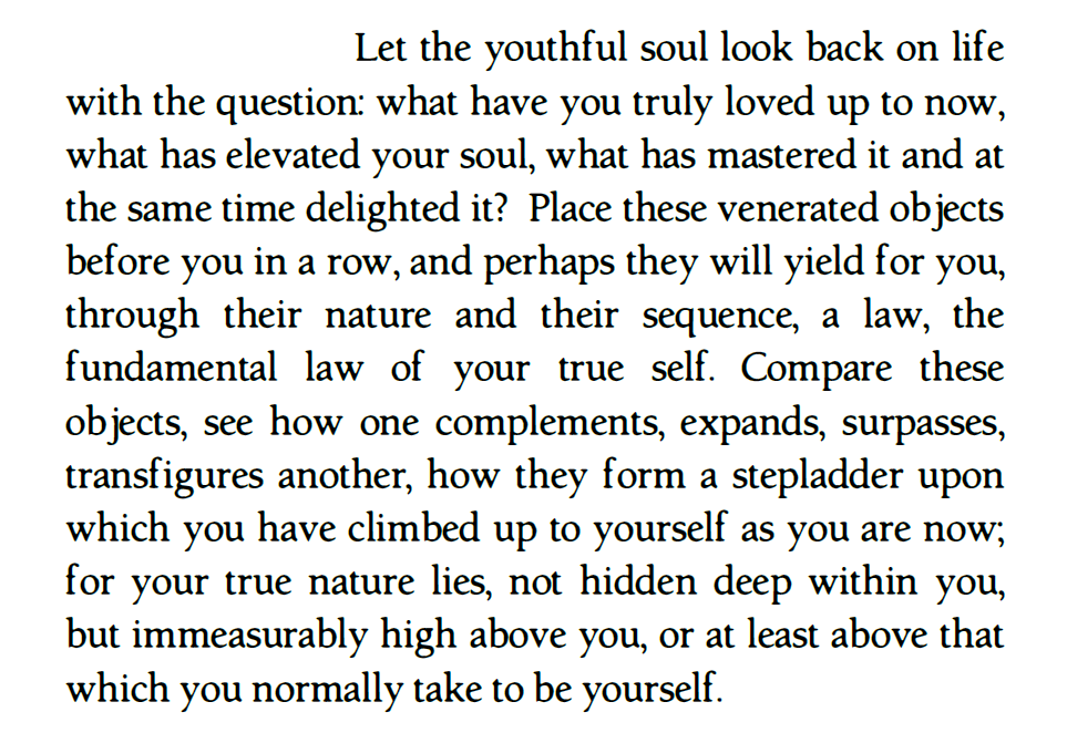 Friedrich Nietzsche, wow