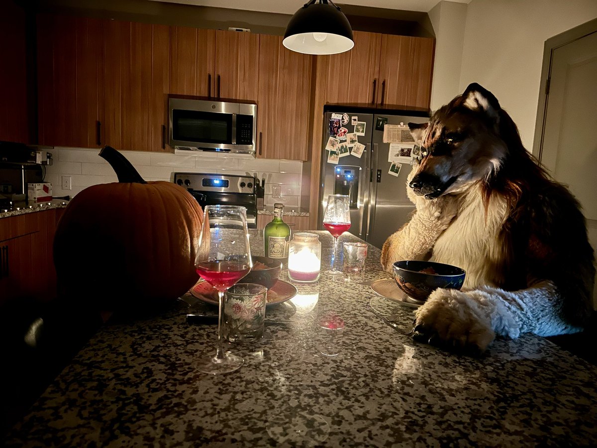 Pumpy and dumpy ❤️ a date under the moonlight. #FursuitEveryday