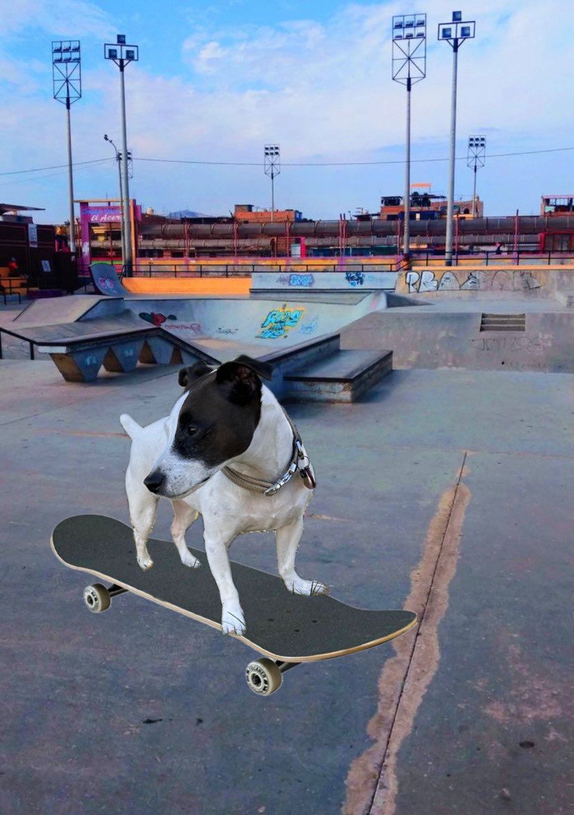 JolieRuin's tweet photo. Skate or Die https://t.co/LGOaBG5hXF