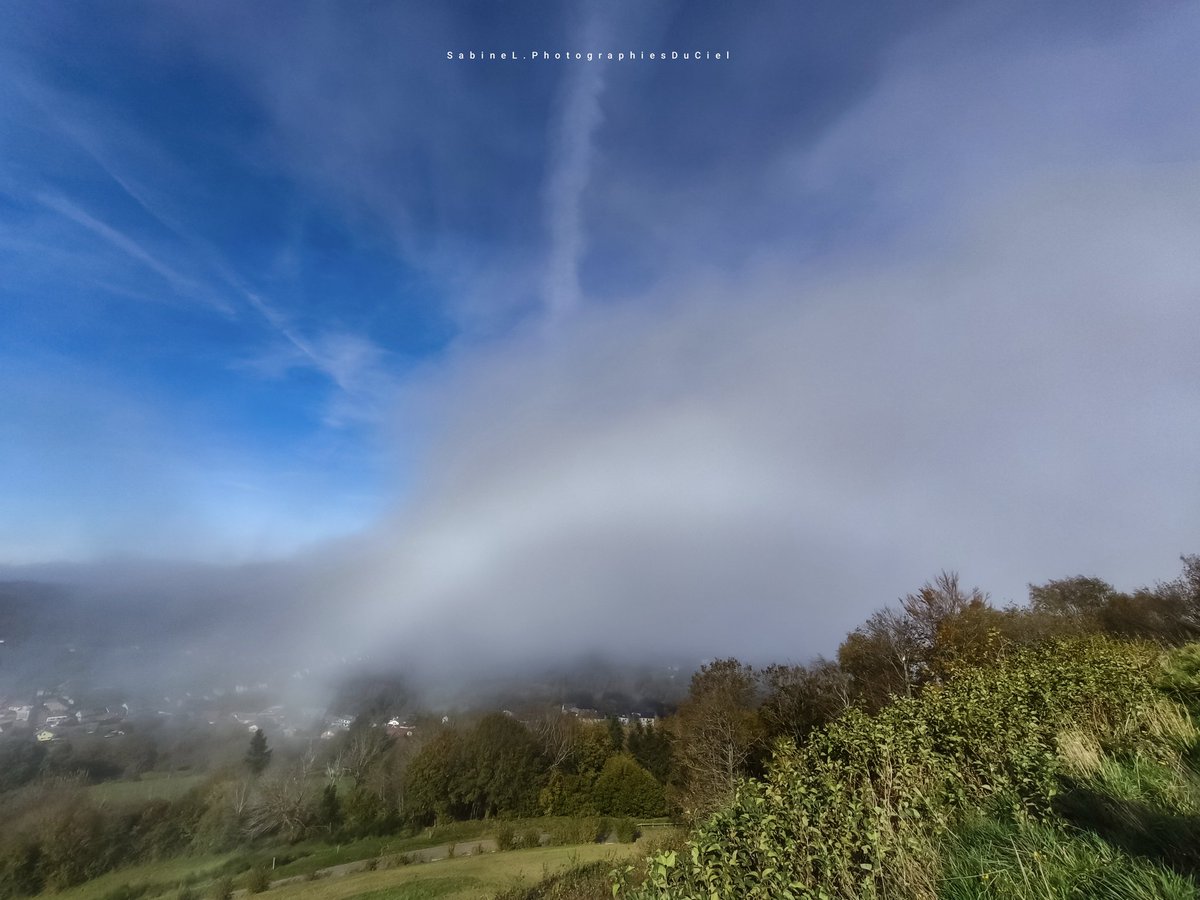 SabineL67's tweet photo. Alors que la plaine d'Alsace se retrouve plongée dans un épais brouillard, de l'autre côté de la frontière naturelle, à Dabo, les nuages d'altitude décorent le ciel avec quelques passages de nuages bas occasionnant l'apparition d'un arc blanc
🌡️11⁰C
#Météo #arcblanc #Fogbow https://t.co/Jhdt3kVlhG