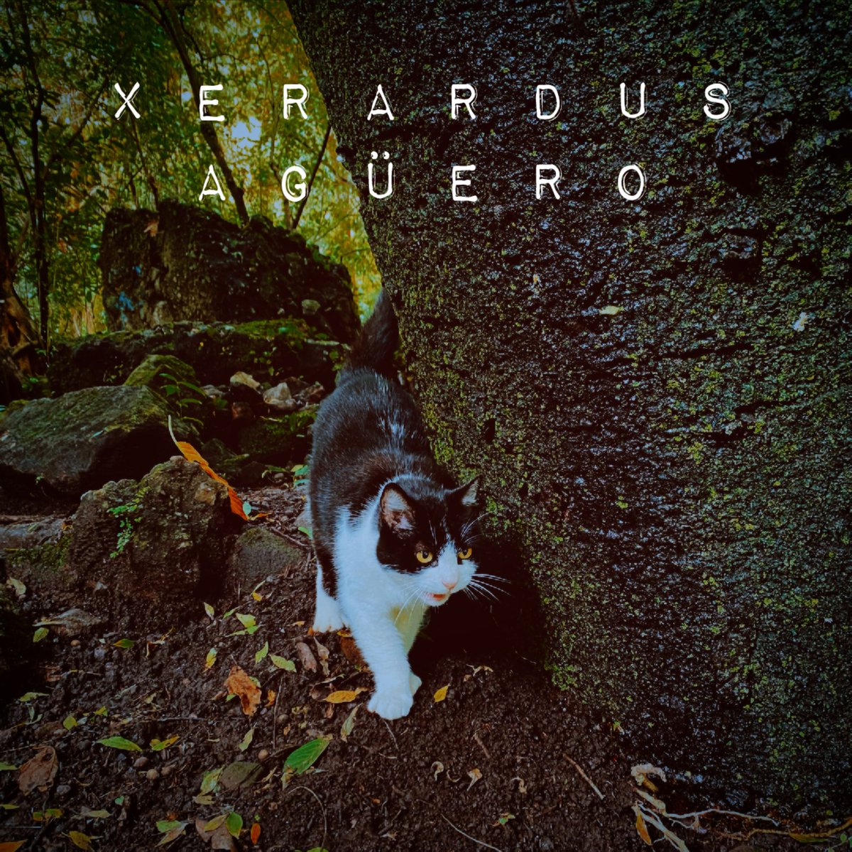 Este lunes 28 de octubre se estrenará “Agüero”, último sencillo que formará parte del EP “Séance”. 

He decidido que voy a vivir en mis propios términos, tal y como Carlos lo hizo. 

Link de pre-save: hypeddit.com/nj7rbt

#xerardus #agüero #postrock