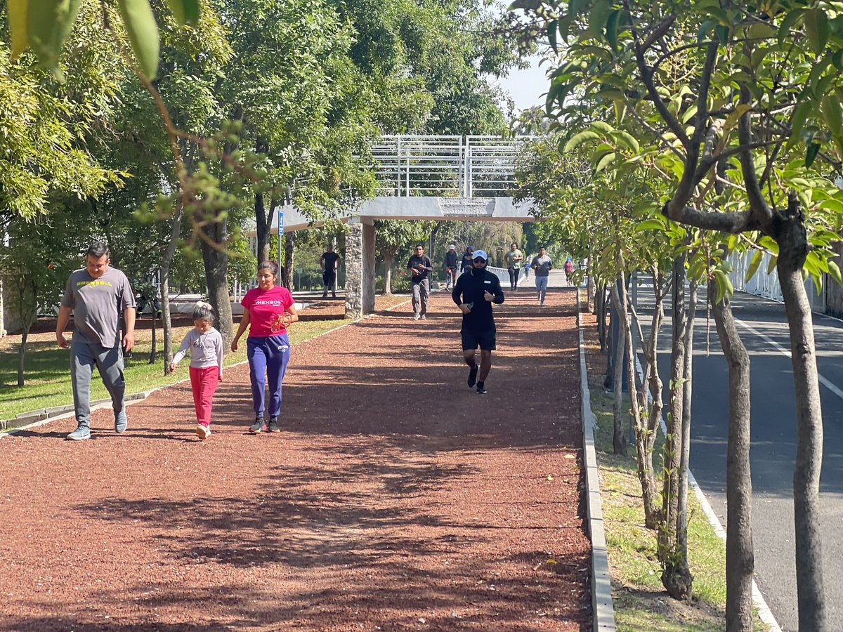 ParquesPuebla's tweet photo. Con deporte, paseo o descanso, vivimos este sábado en el Parque Ecológico. ¡Ven con tu familia! 

#ViveTuParque 🌳 https://t.co/L9hS8nsGlg