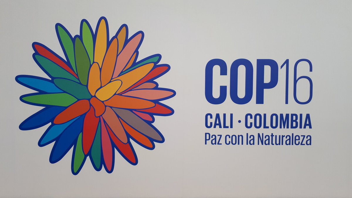 CESPEDES (@cespedes_cce) on Twitter photo Participando como sector privado en la #COP16Colombia sobre #Biodiversidad como miembros y en apoyo de la Delegación del <a href="/GobiernoMX/">Gobierno de México</a> representado por <a href="/SEMARNAT_mx/">SEMARNAT México</a> en favor de la conservación, restauración y uso sostenible de los recursos naturales Participando como sector privado en la #COP16Colombia sobre #Biodiversidad como miembros y en apoyo de la Delegación del <a href="/GobiernoMX/">Gobierno de México</a> representado por <a href="/SEMARNAT_mx/">SEMARNAT México</a> en favor de la conservación, restauración y uso sostenible de los recursos naturales