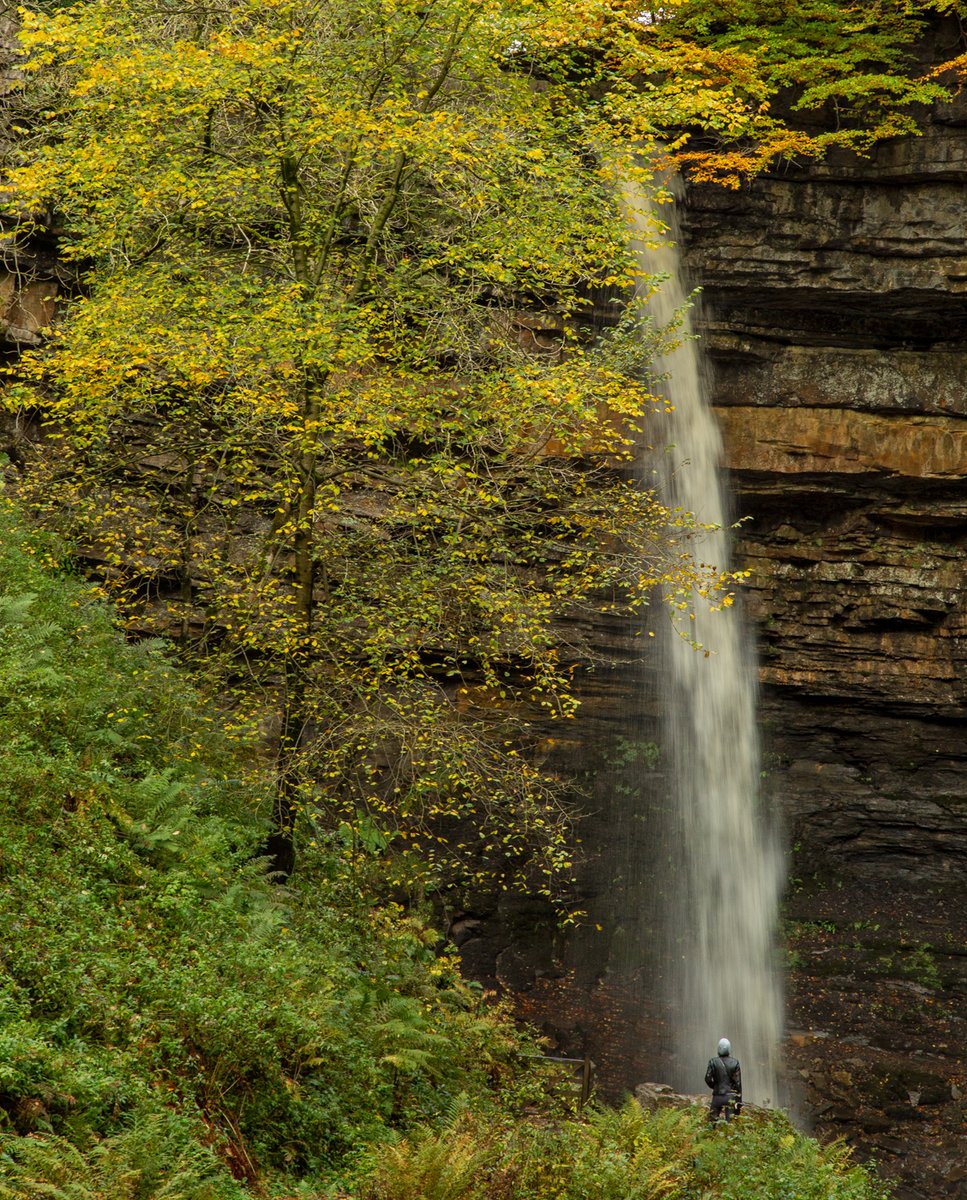 Yorkshire Dales National Park tweet media