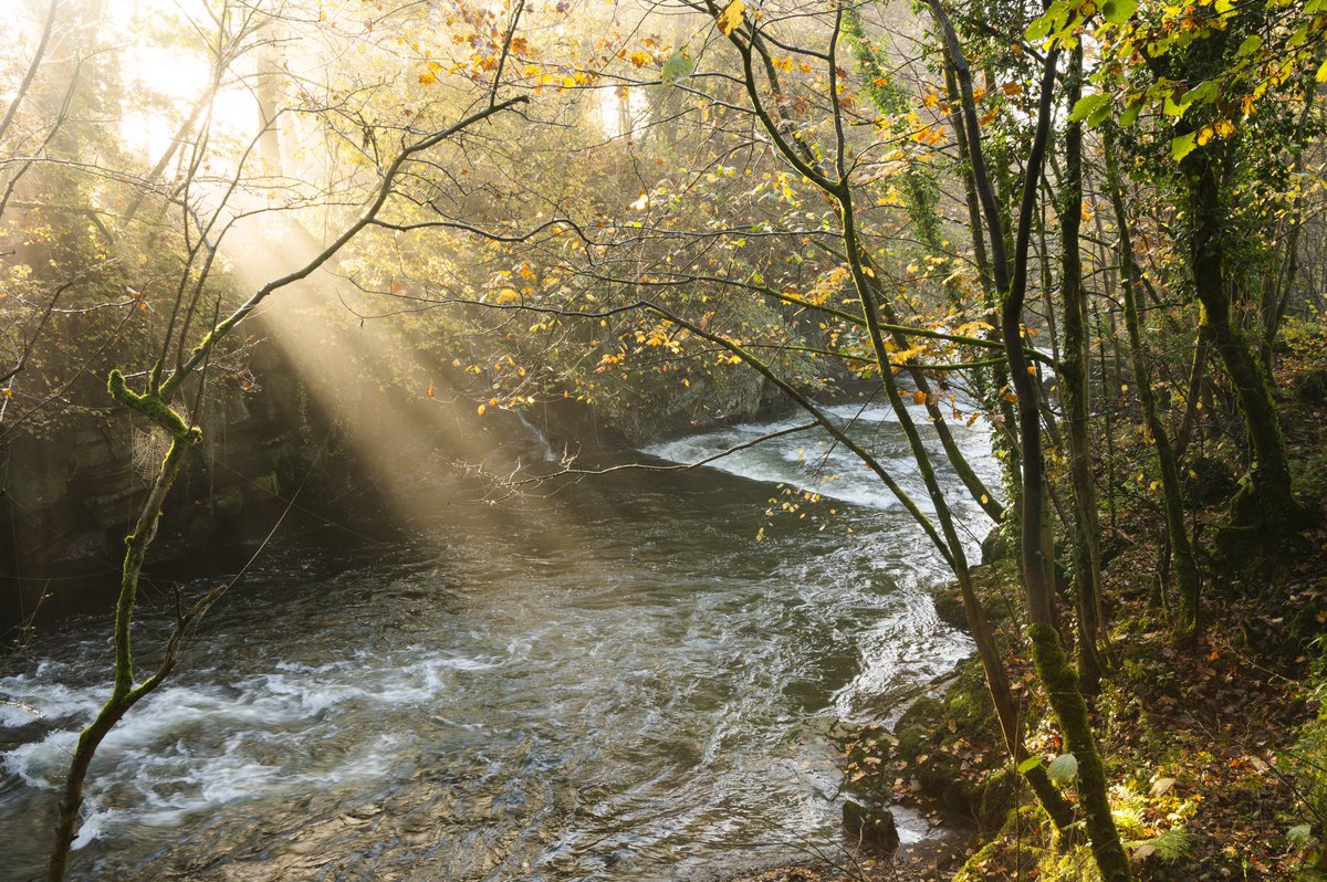I don’t even know how to start to describe this morning along my local river… so I’ll let the photos do the talking!