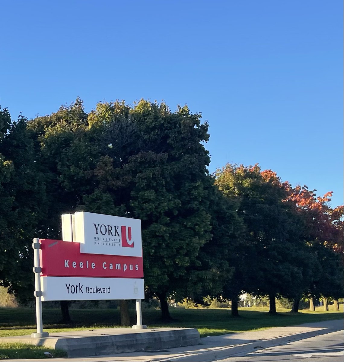 IRDL York U tweet media