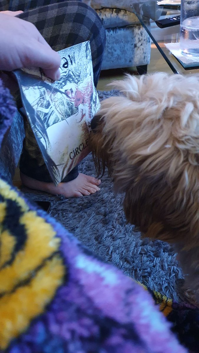 Ladies and Gents... Here's Waffles, our fabulous front cover model saying hello to his younger self 🤣🧡🧡