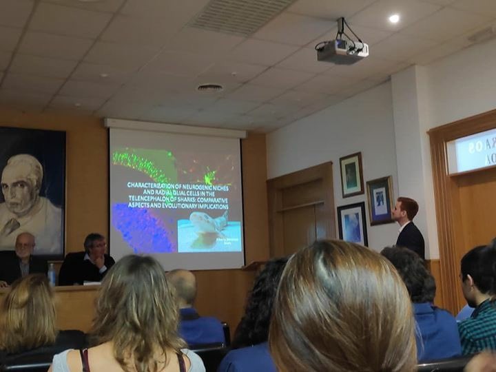 AlbertoDseara's tweet photo. Today is my #PhDversary. It’s been 6 years already… 4 Years of working in an amazing model, the #shark , which gave me a lot of joy in @NEURODEVOGROUP . Time flies, right @Ismael_Hdez_N ?😅😅 https://t.co/wAUQ2SLsq9