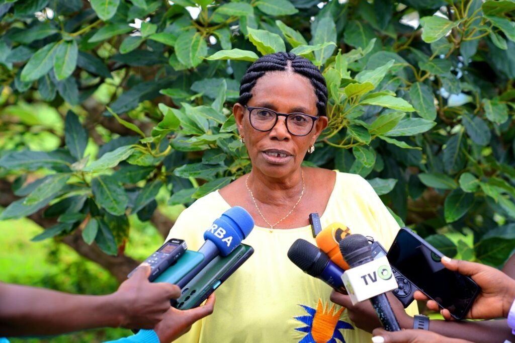 p_dusabimana's tweet photo. Meet Prudence Sendarase and Gloriose Uwamwezi, two avocado exemplary farmers based in @NyanzaDistrict and @HuyeDistrict of @RwandaSouth. Let me share with you what I learned from them during my visits this week.
Avocado farming is far beyond one tree or two, for just home consumption. It can be a sustainable profitable business due to its high global demand due to increased awareness of nutritional benefits of Avocado.
According to Prudence, he dedicated 10 hectares of his land in @NtyazoS Sector to grow avocado for commercial purposes, after identifying that most of the fruits consumed are imported and unreasonably expensive. He started 4 years ago, and now he makes more than 8 million Rwandan Francs (Approx. 7,000 $) per year and the demand is increasing.
He has created 10 Full-Time Jobs and 30-day laborers, most of them being women and youth. To achieve this, he is very consistent with good agriculture practices such as spacing, timely pruning, pest and fertilized management, and mulching. Thanks to @RwandaAgriBoard for not only unwavering support to him, but also the provision of high-quality seedlings of renowned varieties, Fuerte and Hass. To fight moisture loss in drought period, he practices GAP practices such as Mulching.
On another hand, story of Gloriose truly inspirational. Despite being a widow, she stood up for herself. She tapped in after heard about avocado processing plant to be based in @HuyeDistrict, though, it never happened. Instead, she discovered the huge untapped avocado demand at the market which she alone cannot satisfy until now. She started with 400 trees and now she owns a 3-hectare plantation with 1200 trees. With avocado farming, she makes more than 4 million Rwandan Francs per season, and she was able to pay school fees for her 3 children depending on this business.
Beyond her success story, her farming is subject to drought, and she believes that if she obtains a support from @RwandaAgri to irrigate her land, the production will increase and contribute to even more impact to end malnutrition and create more jobs.
As wind up my story, don't expect to start with 3-hectare land or 10-hectare land as Gloriose and Prudence. Don't tap in to make 8 million or 4 million per season. If so, you won't start or if you start you will disappoint yourself. Start small, set a plan, learn through the process, and whenever something goes south always remember why you started before you give up.
#RightToFood #UburenganziraKuBiribwa #WFD24 #AgriBusiness