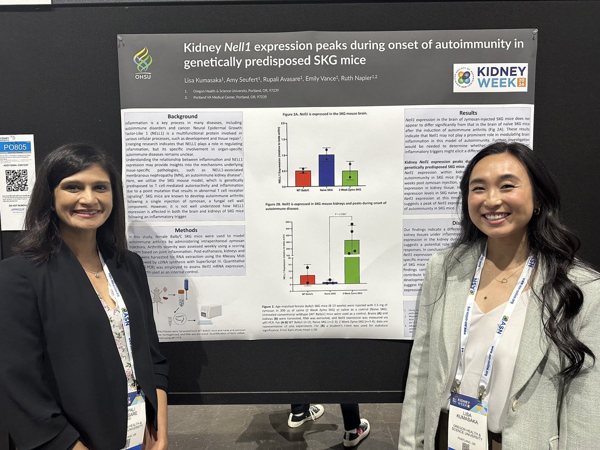 OHSUNephrology's tweet image. OHSU superstars Rupali Avasare, Lisa Kumasaka, and Daike Aomura presenting their work on Nell1 #kidneywk