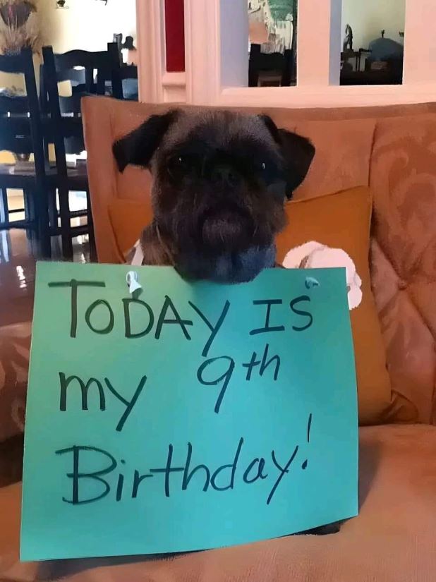 Please don't swipe past without sending him some love and Wishes!🌺