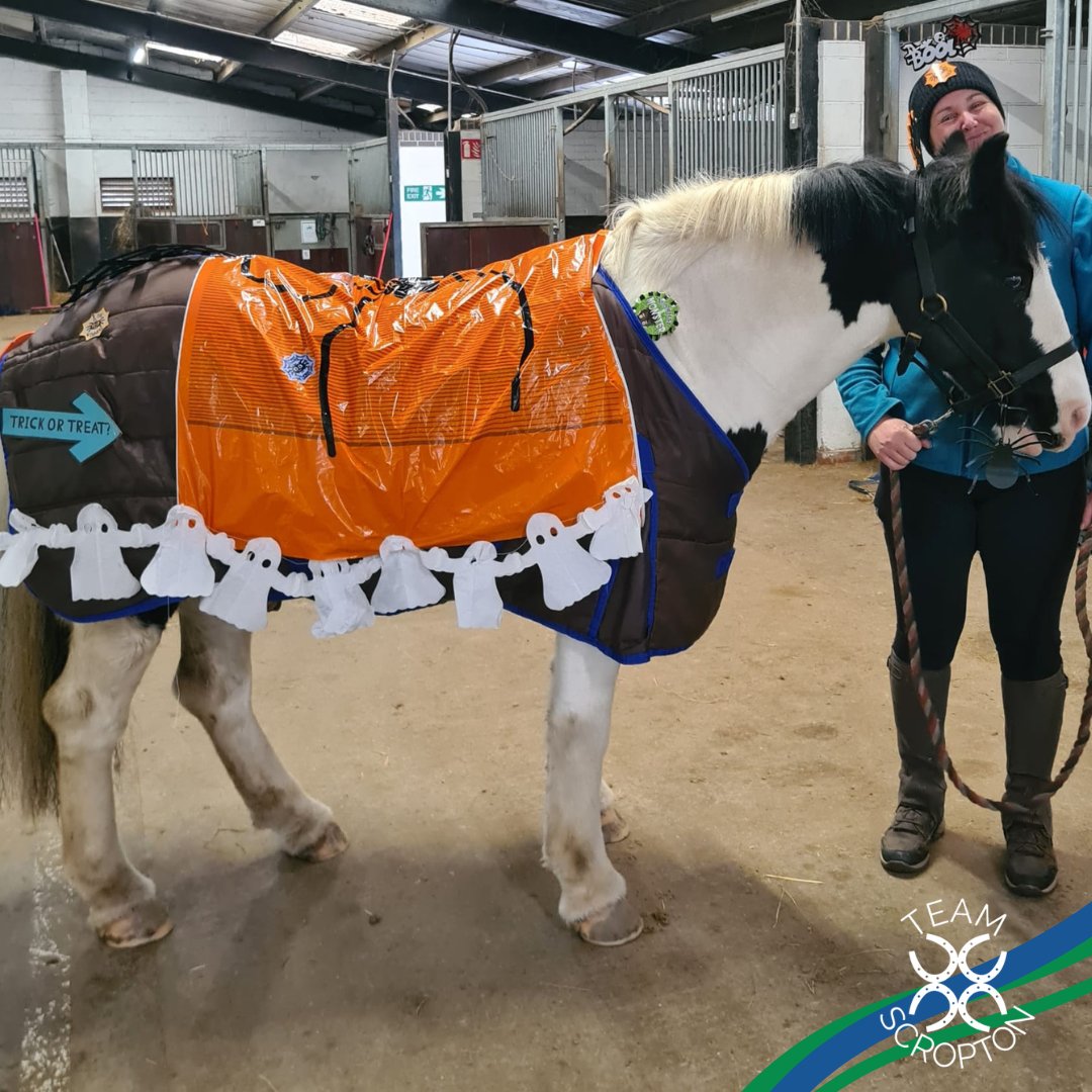 Scropton Horse Centre (@scroptonhc) on Twitter photo Look at April and Cody ready for the pumpkin walk at <a href="/Elandlodge/">Eland Lodge</a> Equestrian tomorrow - There is still time for you to join us and help raise funds for Scropton RDA π
You can support us by donating no matter how big or small at scropton.com/donate π Look at April and Cody ready for the pumpkin walk at <a href="/Elandlodge/">Eland Lodge</a> Equestrian tomorrow - There is still time for you to join us and help raise funds for Scropton RDA π
You can support us by donating no matter how big or small at scropton.com/donate π