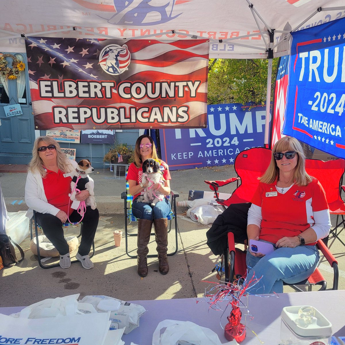 Elbert County GOP tweet media