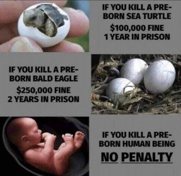 LifeNewsHQ's tweet image. 