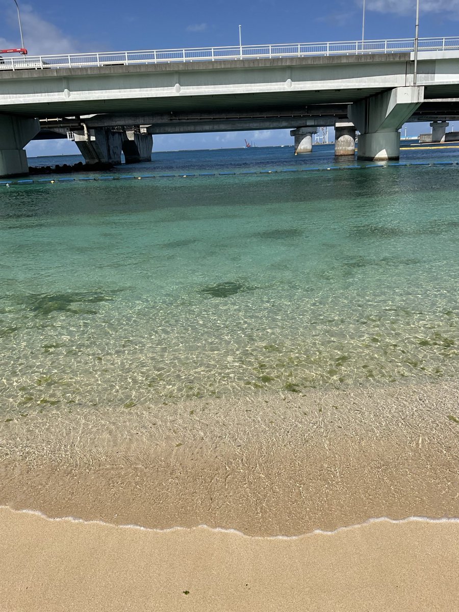 翼　TSUBASA (@kakonso) on Twitter photo 