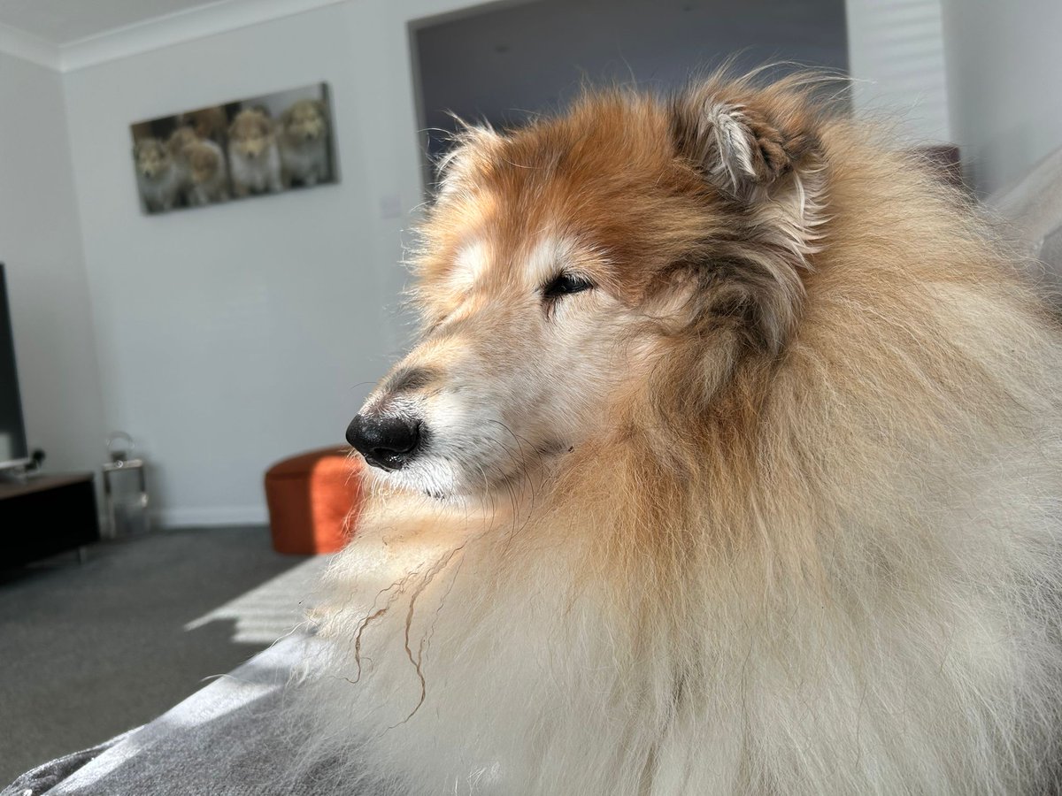 I'll see you in my dreams Diva,ill see you in my dreams.
#justnowords.
<a href="/Golf_Mates_/">GOLF MATES</a>