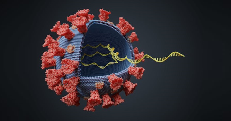 Immunology of Infectious Disease News (@infdisease_news) on Twitter photo Dr. <a href="/lasradoN/">Ninaad Lasrado, PhD</a> from the <a href="/BarouchLab/">Barouch Lab</a> and team, including <a href="/airisyc/">Ai-ris Yonekura Collier, MD</a> & <a href="/CamilleRMazurek/">Camille Mazurek</a>, show the current XBB.1.5 mRNA boosters substantially enhance peripheral antibody responses but do not robustly increase mucosal antibody responses.
<a href="/ScienceTM/">Science Translational Medicine</a> | bit.ly/3UqhrMd Dr. <a href="/lasradoN/">Ninaad Lasrado, PhD</a> from the <a href="/BarouchLab/">Barouch Lab</a> and team, including <a href="/airisyc/">Ai-ris Yonekura Collier, MD</a> & <a href="/CamilleRMazurek/">Camille Mazurek</a>, show the current XBB.1.5 mRNA boosters substantially enhance peripheral antibody responses but do not robustly increase mucosal antibody responses.
<a href="/ScienceTM/">Science Translational Medicine</a> | bit.ly/3UqhrMd