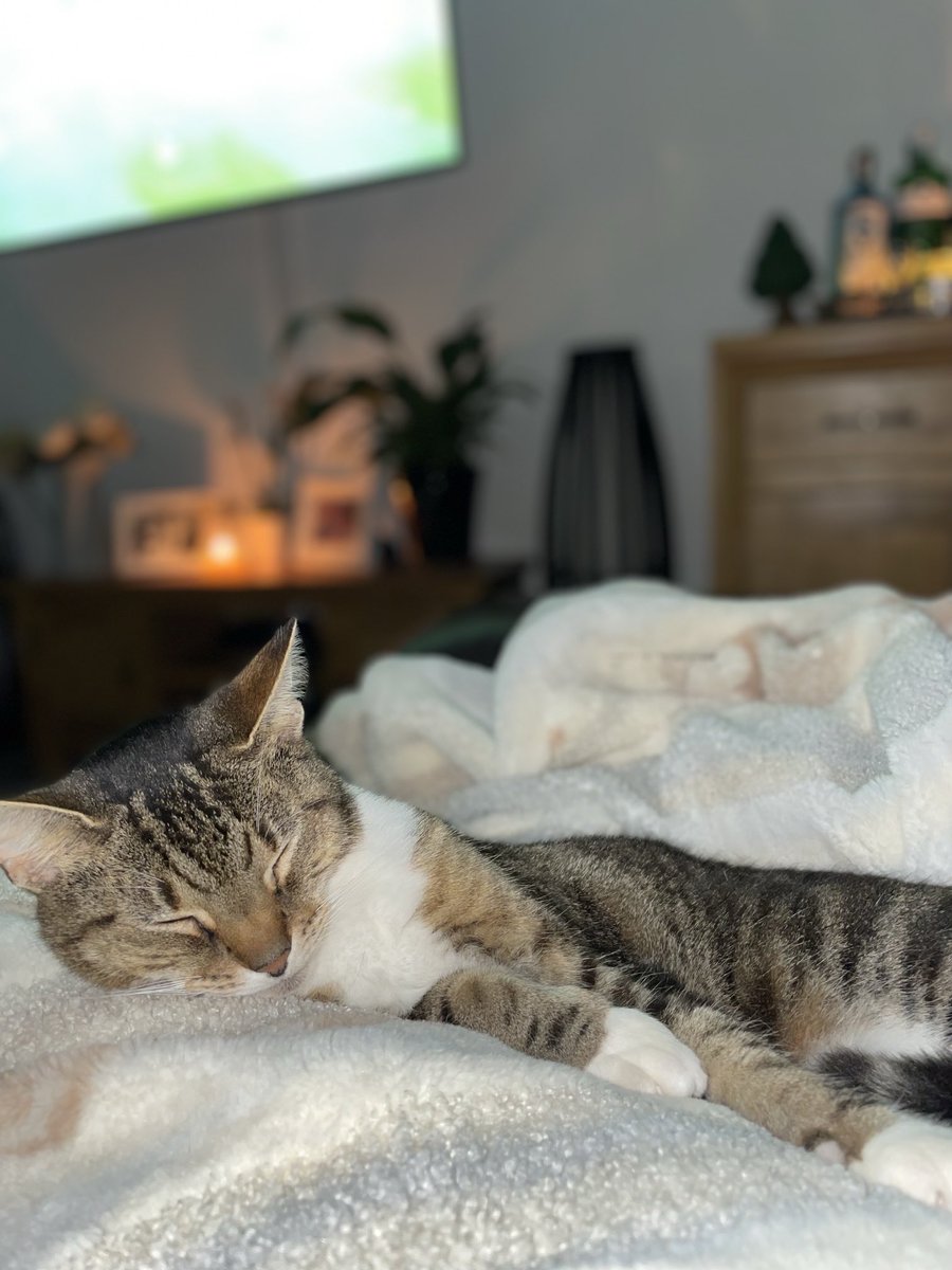 Least one being is relaxed watching ⁦<a href="/Everton/">Everton</a>⁩