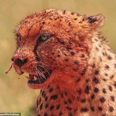 Kebap_lover's tweet photo. #NewProfilePic https://t.co/baiZkkHgC1