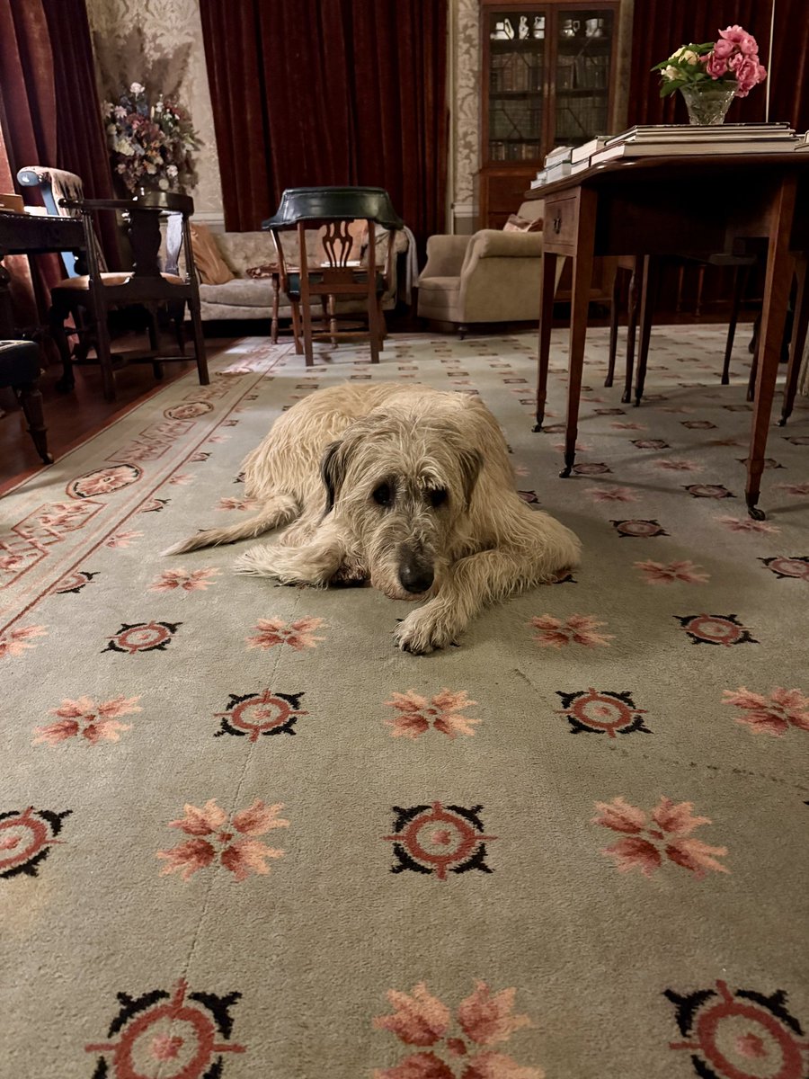 Enniscoe House (@enniscoehouse) on Twitter photo Some of the last guests of the season of 2024! #pets #dogs <a href="/MayoNorth/">Mayo North Tourism, Ireland</a> <a href="/IrelandBlueBook/">Ireland's Blue Book</a> Some of the last guests of the season of 2024! #pets #dogs <a href="/MayoNorth/">Mayo North Tourism, Ireland</a> <a href="/IrelandBlueBook/">Ireland's Blue Book</a>
