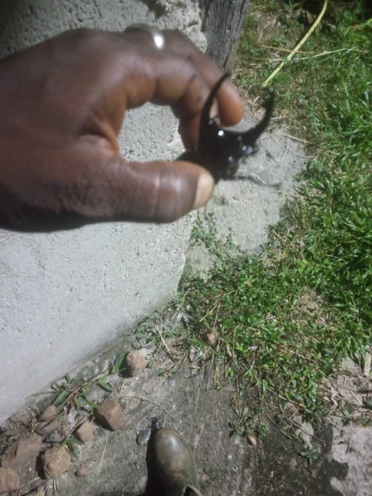 Epoke17's tweet photo. @JapanStag They for sell please am in Nigeria there much am give them out for 200$ https://t.co/h1NZcVJuLQ