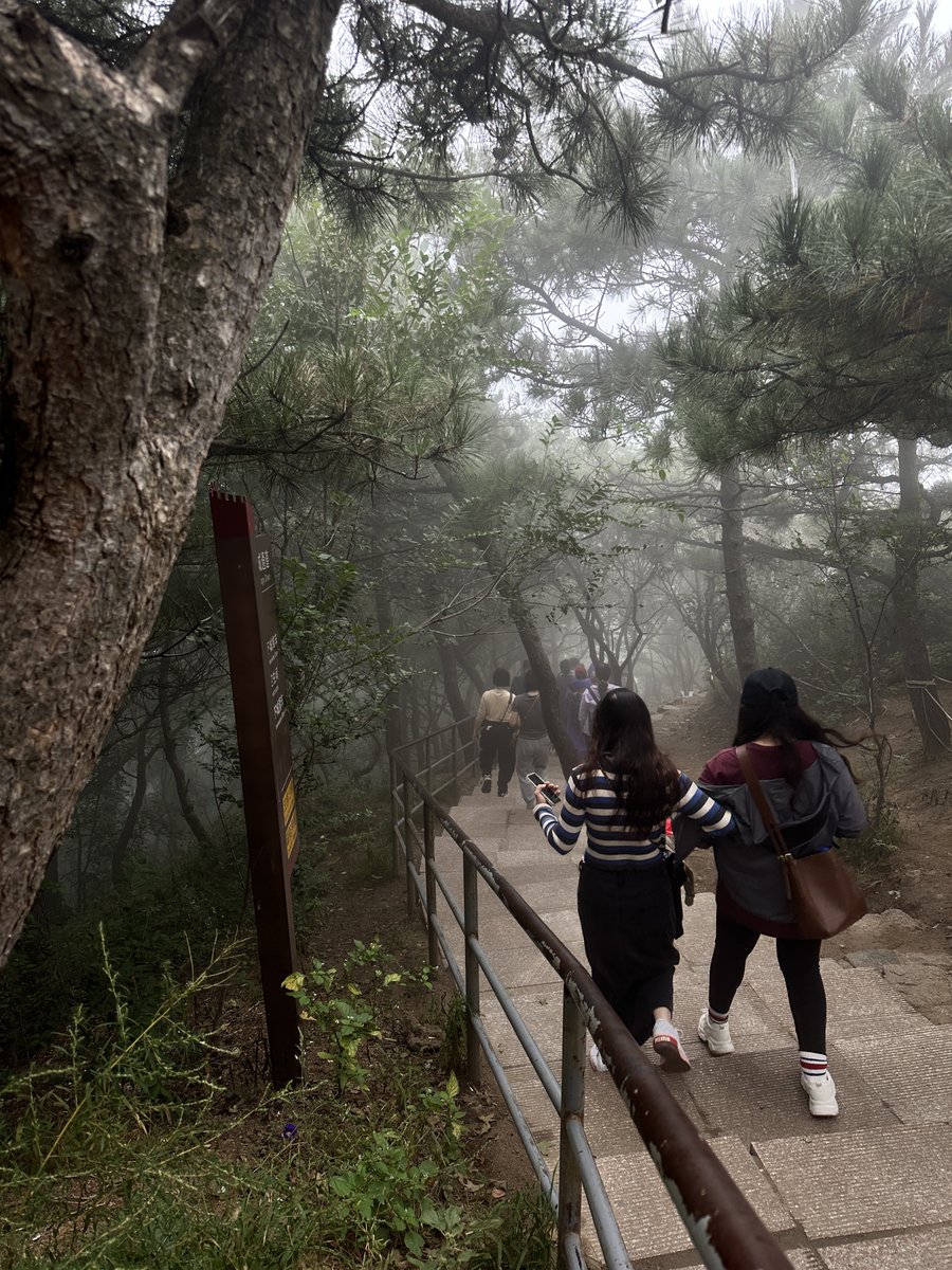 ShiroNoOne's tweet image. وروونا عشوائيات اكتوبر