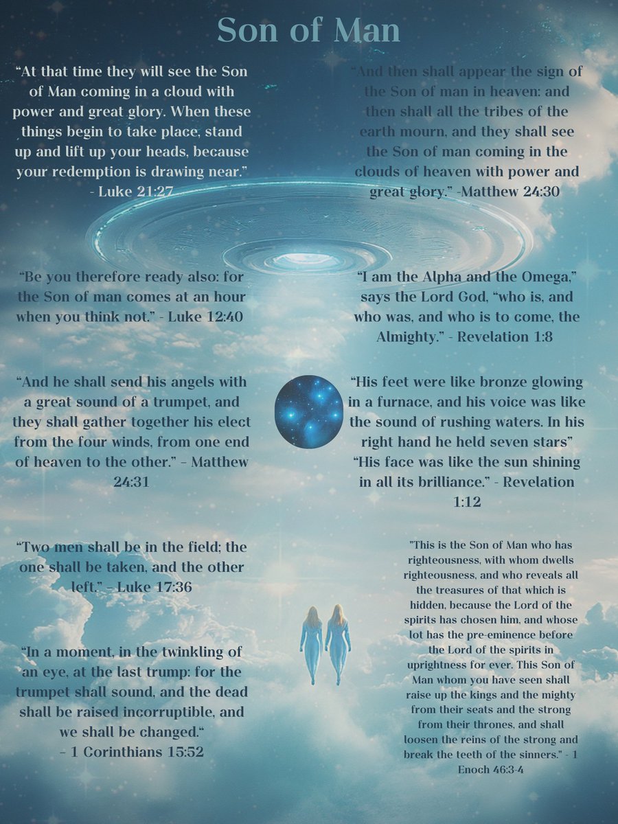 MOETAK KADEKIS tweet media