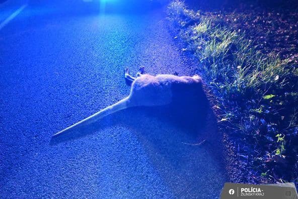 Mountain Ğeneral tweet media