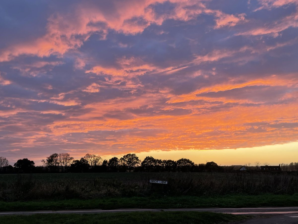 Ali Talbot tweet media