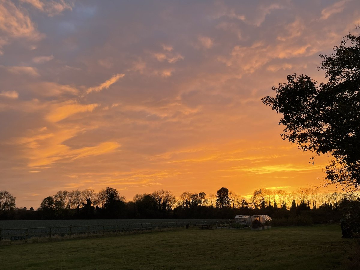 Ali Talbot tweet media