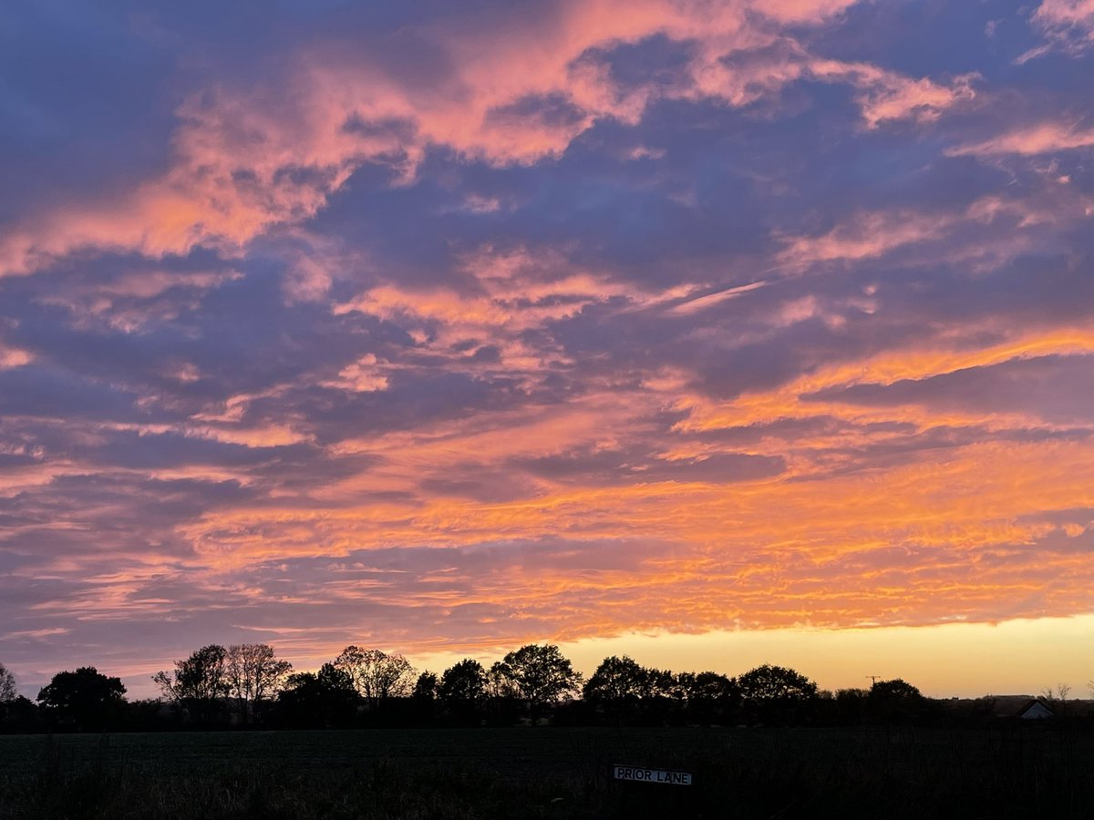 Ali Talbot tweet media