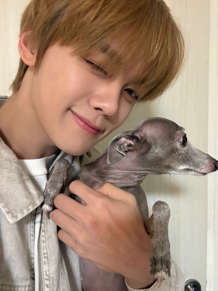 gyumi ❤︎ ia! tweet media