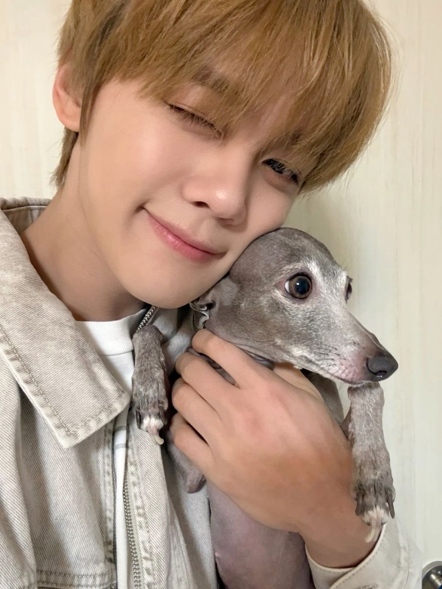 gyumi ❤︎ ia! tweet media