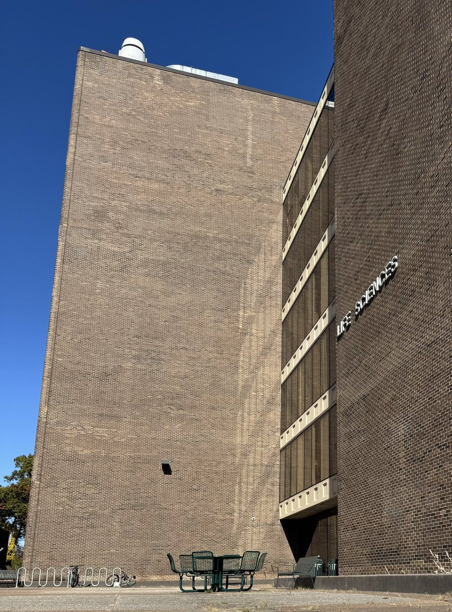 David Solecki (pronounced so_lets_ki 😉) tweet media