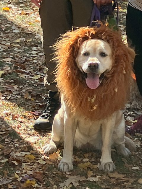 Daniel Promislow tweet media