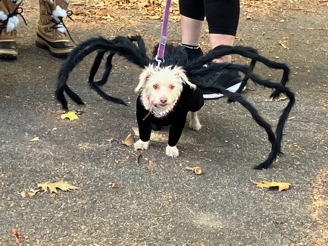 Daniel Promislow tweet media