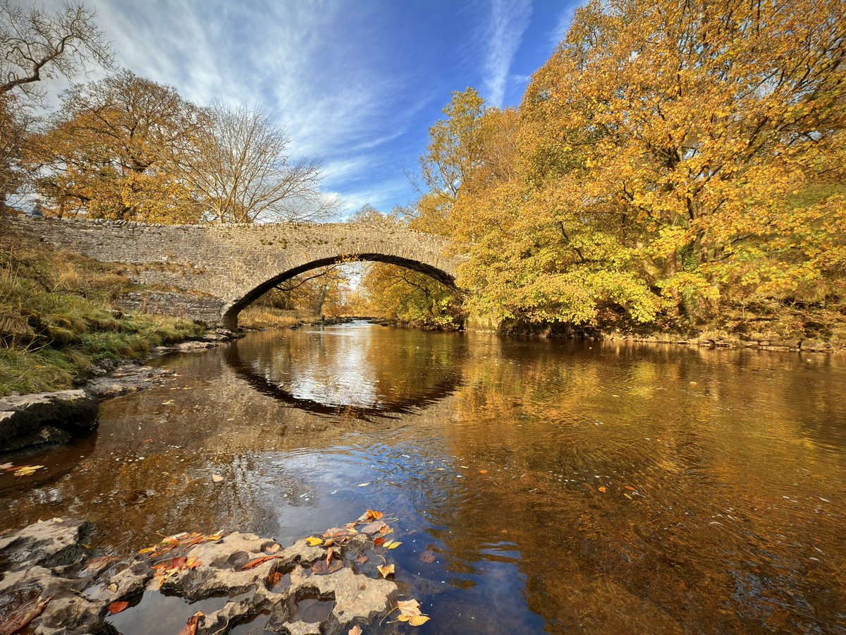 Daniel Britton tweet media