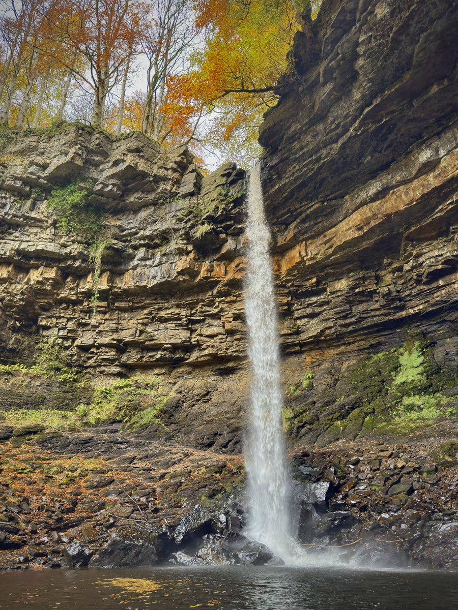 Daniel Britton tweet media