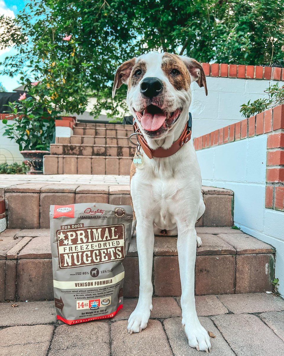 Primal's Freeze-Dried Nuggets for cats &amp; dogs are a shelf-stable meal with the whole-food nutrition of raw. Made with high-quality protein &amp; Certified Organic produce that's formulated specifically for your pet. Just crumble, hydrate &amp; feed!
bit.ly/3U85lHr