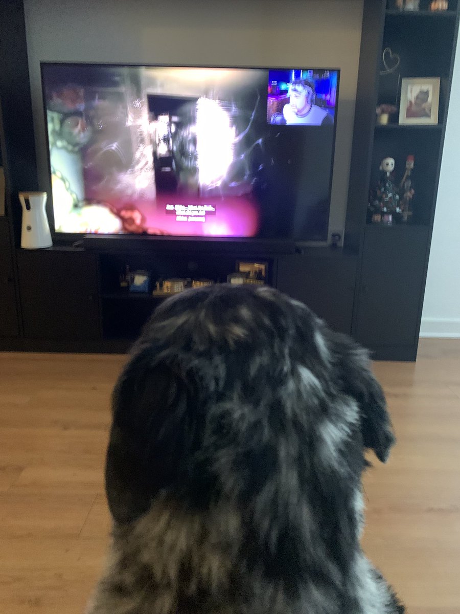 nizzytube's tweet photo. When mom and dad were away buying all the foods and treats, the boys were watching @sauceddie play through of It Wakes the Deep. https://t.co/ndizoNpNYY