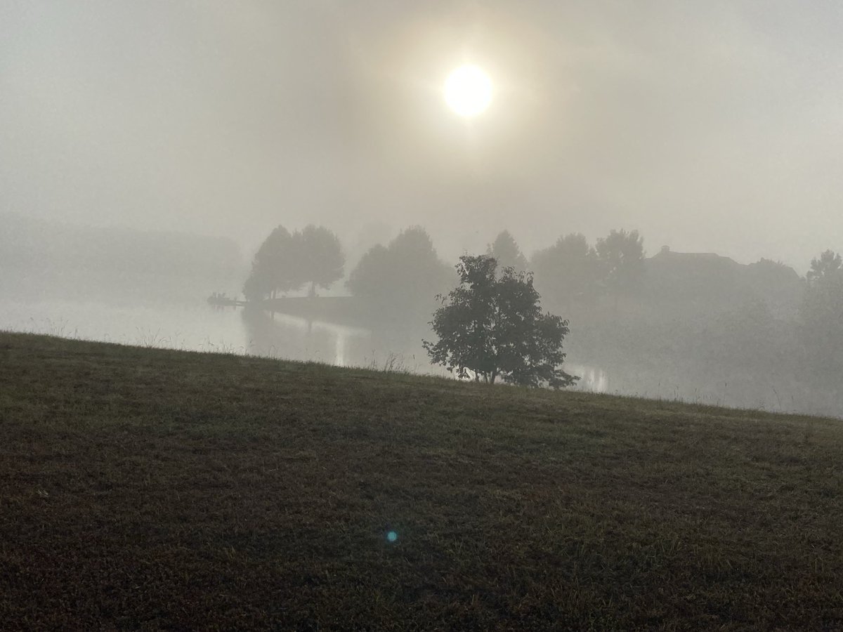 Jenny Marie Blalock, Ed. D tweet media