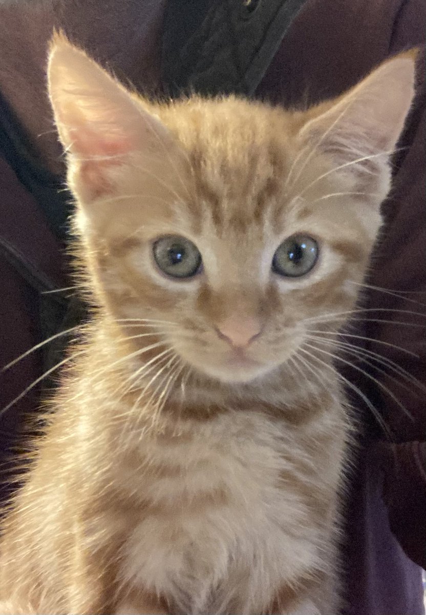 davidsupercat's tweet photo. Cute Jim. Evil Jim. https://t.co/h2lnRWetck