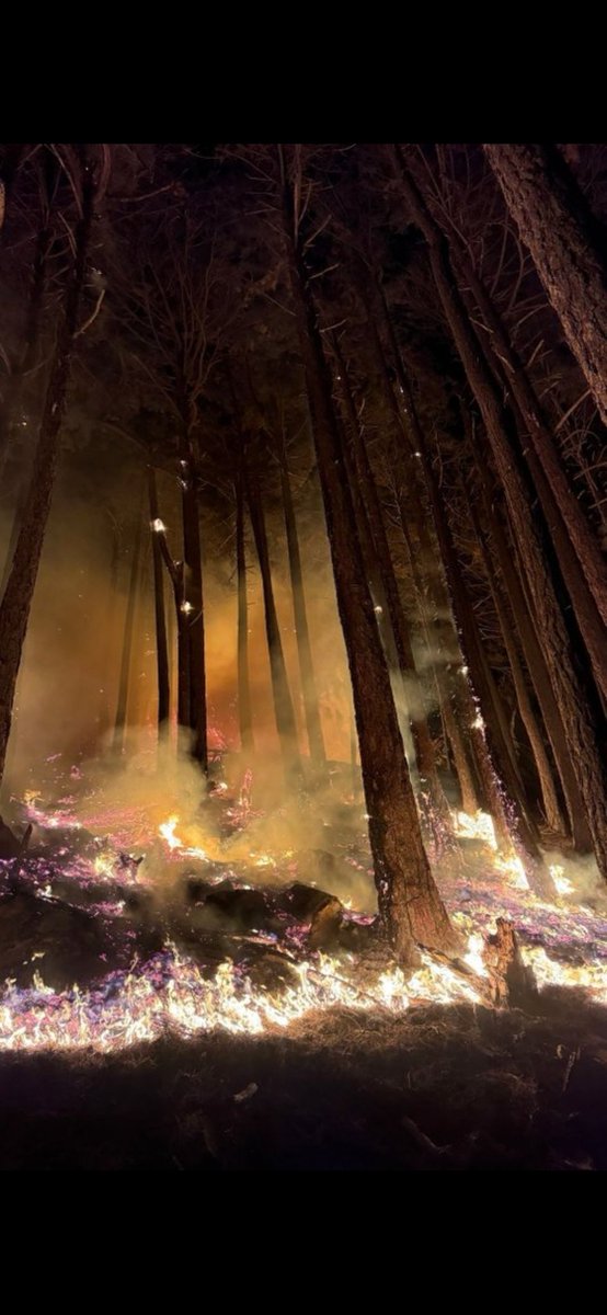 Hafta sonu bari olaysız geçermi diye düşünürken 
Denizlinin 3 gündür yandığı haberi ile sarsıldık 
#denizliyanıyor