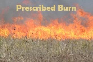 FHL Community:
Upcoming Rx Burns by FHL Fire &amp; Emergency Services, DPW, U.S. Forest Service, &amp; Cal Fire:

When: Oct 25 (Fri) - Oct 28 (Mon)
Where: ASP (Fri-Sun), 16B Schoonover (Mon)
Purpose: Hazard mitigation &amp; environmental request

Expect visible smoke throughout.